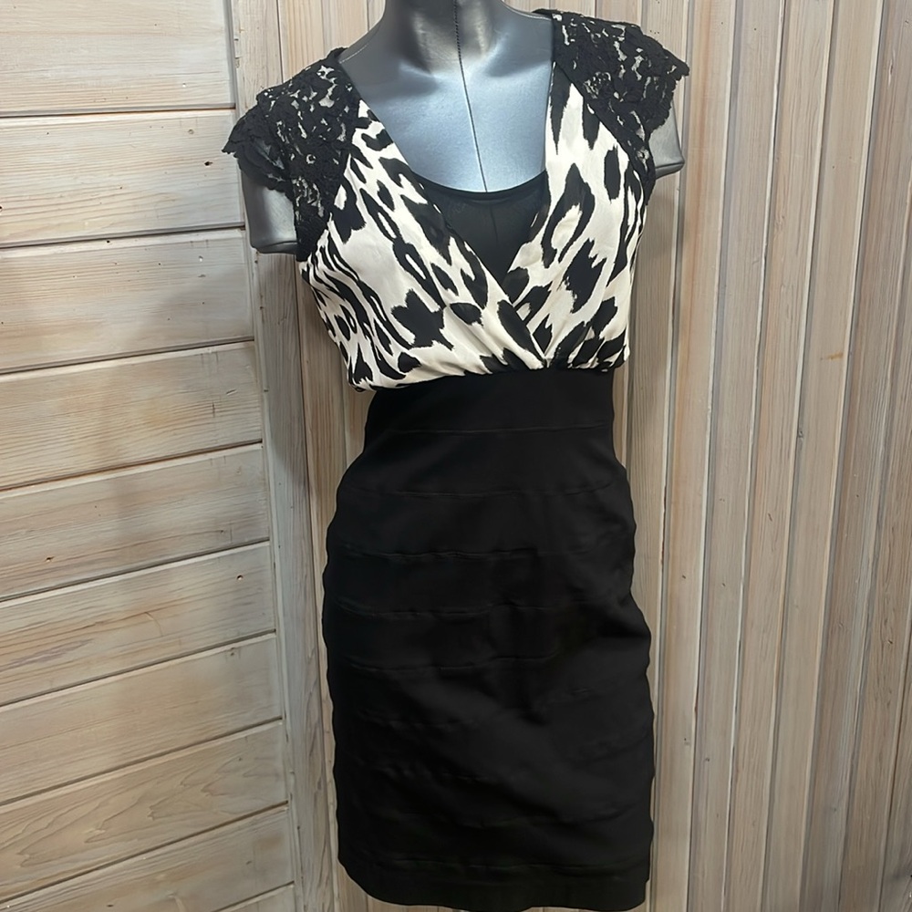 🌹NWT Nicole dress